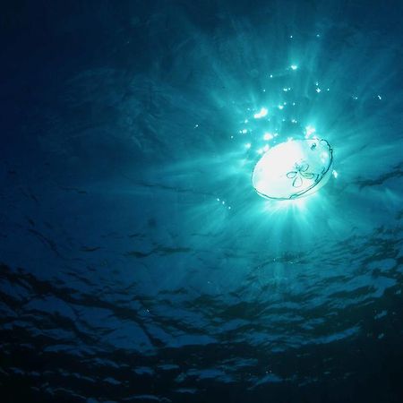 Bohio Dive Resort Cockburn Town Ngoại thất bức ảnh