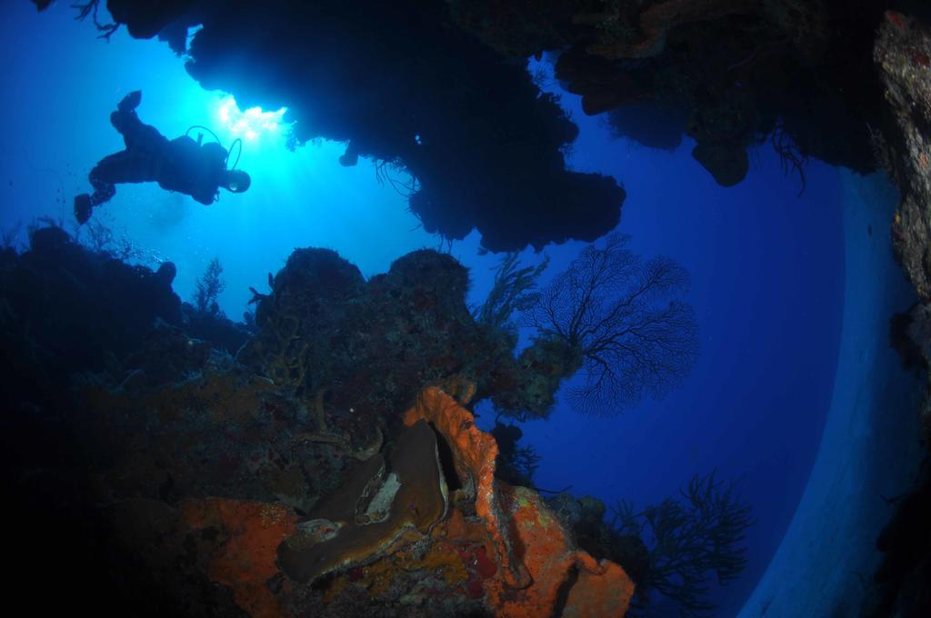 Bohio Dive Resort Cockburn Town Ngoại thất bức ảnh