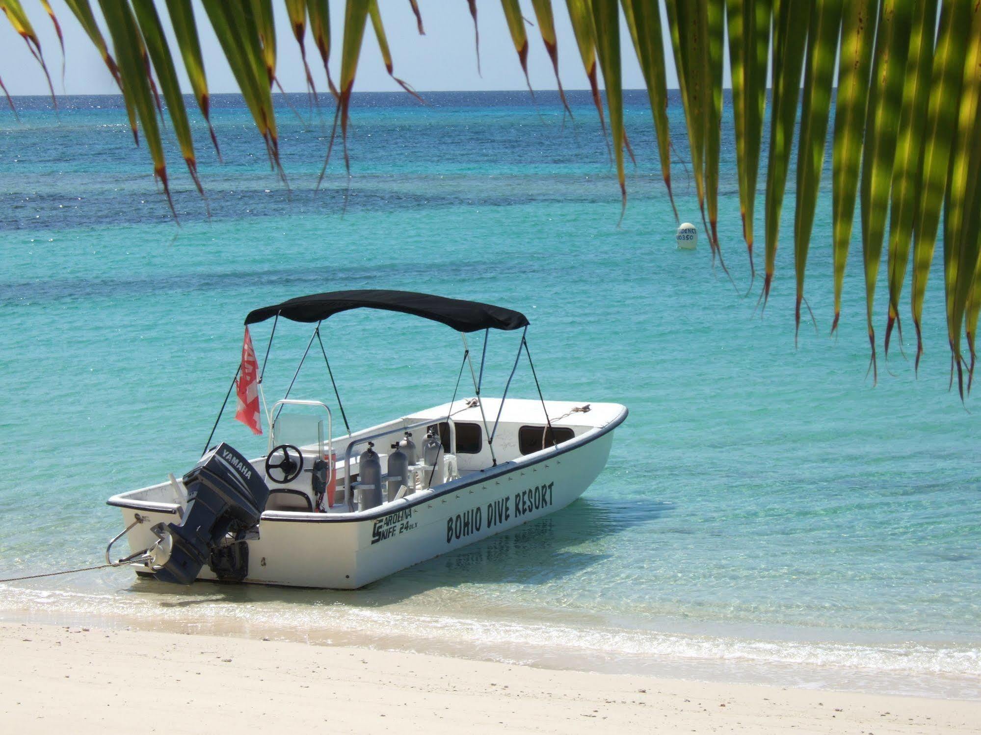 Bohio Dive Resort Cockburn Town Ngoại thất bức ảnh