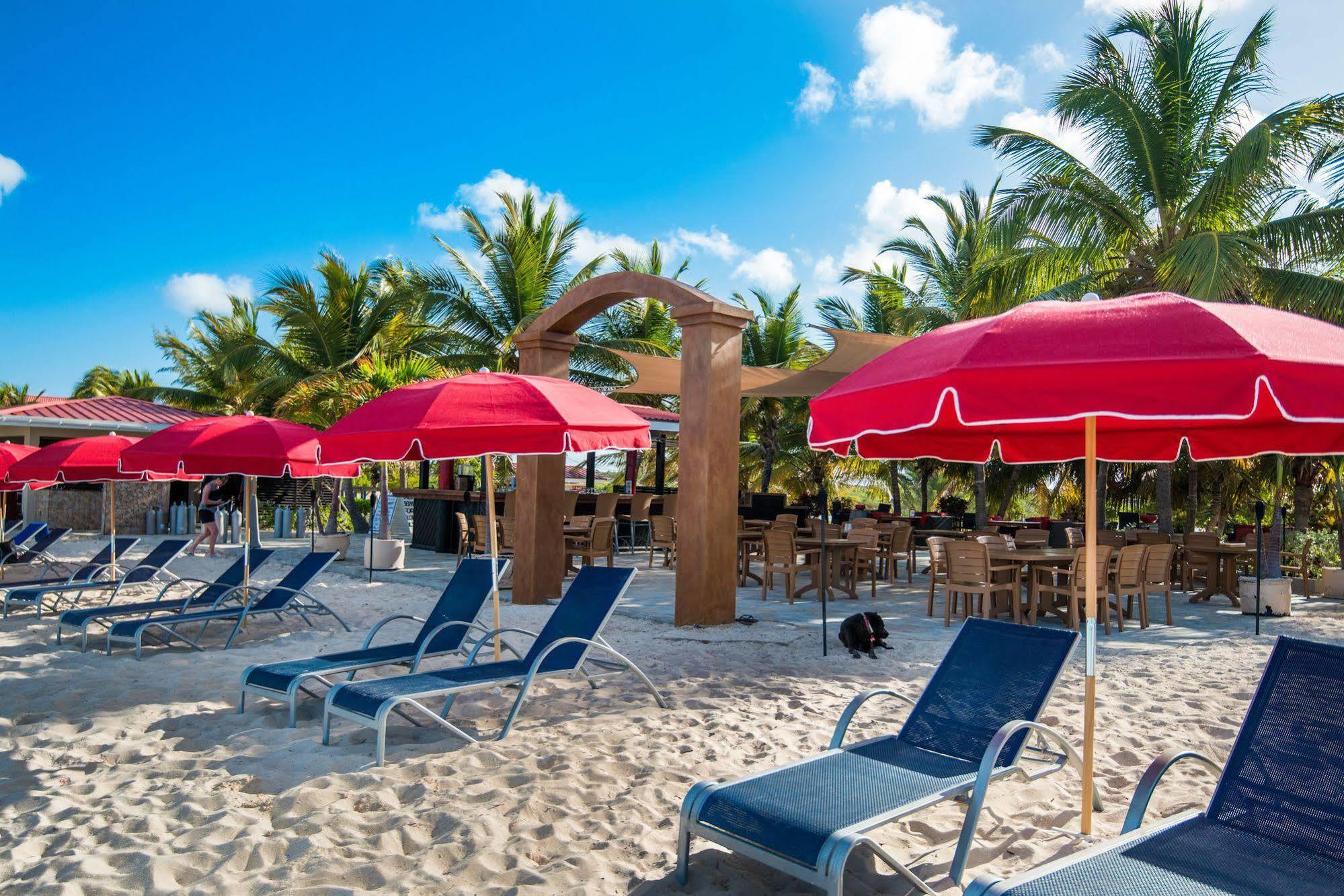 Bohio Dive Resort Cockburn Town Ngoại thất bức ảnh