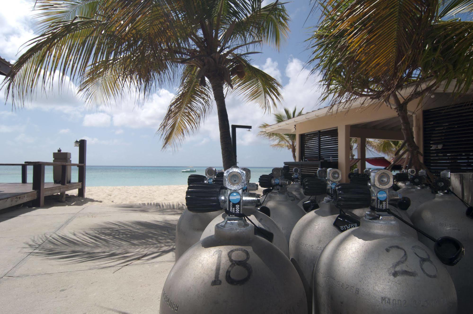 Bohio Dive Resort Cockburn Town Ngoại thất bức ảnh